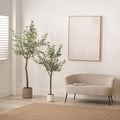 Large Olive Tree Close1 from Roseland Furniture