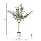 Medium Olive Tree from Roseland Furniture