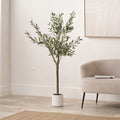 Medium Olive Tree from Roseland Furniture