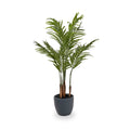 Areca Palm Plant in Pot from Roseland Furniture
