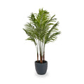 Areca Palm Plant in Pot from Roseland Furniture