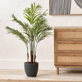 Areca Palm Plant in Pot from Roseland Furniture