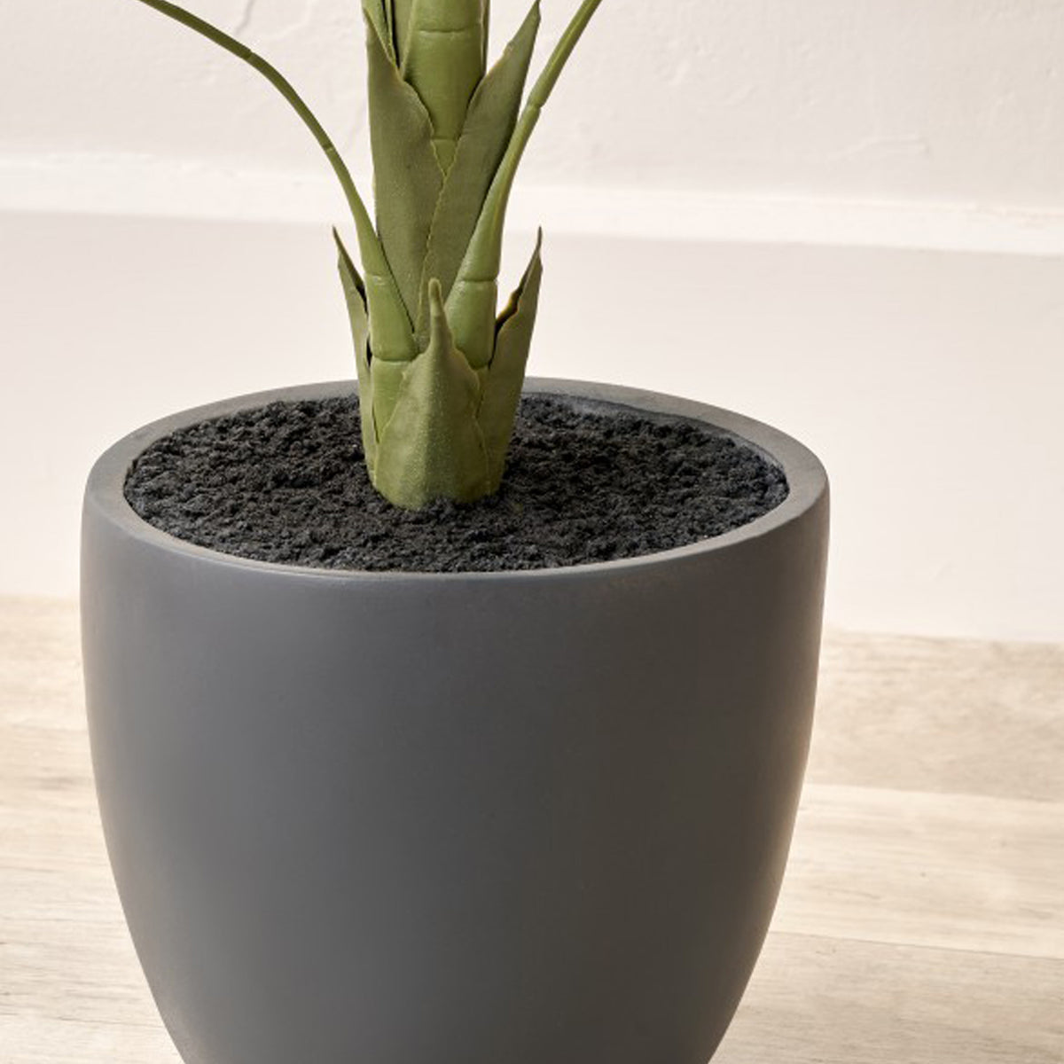 Elephant Ear Plant in Pot from Roseland Furniture