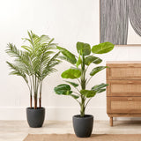 Elephant Ear Plant in Pot from Roseland Furniture