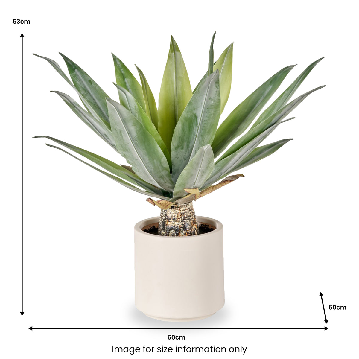 Agave Plant in Pot from Roseland Furniture