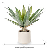 Agave Plant in Pot from Roseland Furniture