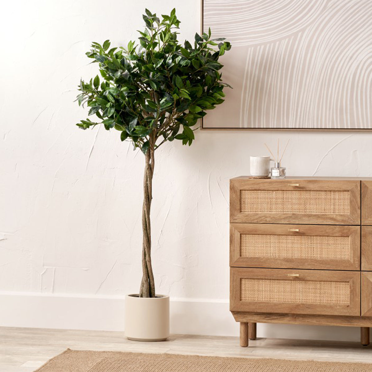 Bay Tree in Pot Close1 from Roseland Furniture