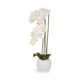 White Orchid in Pot Tall from Roseland Furniture