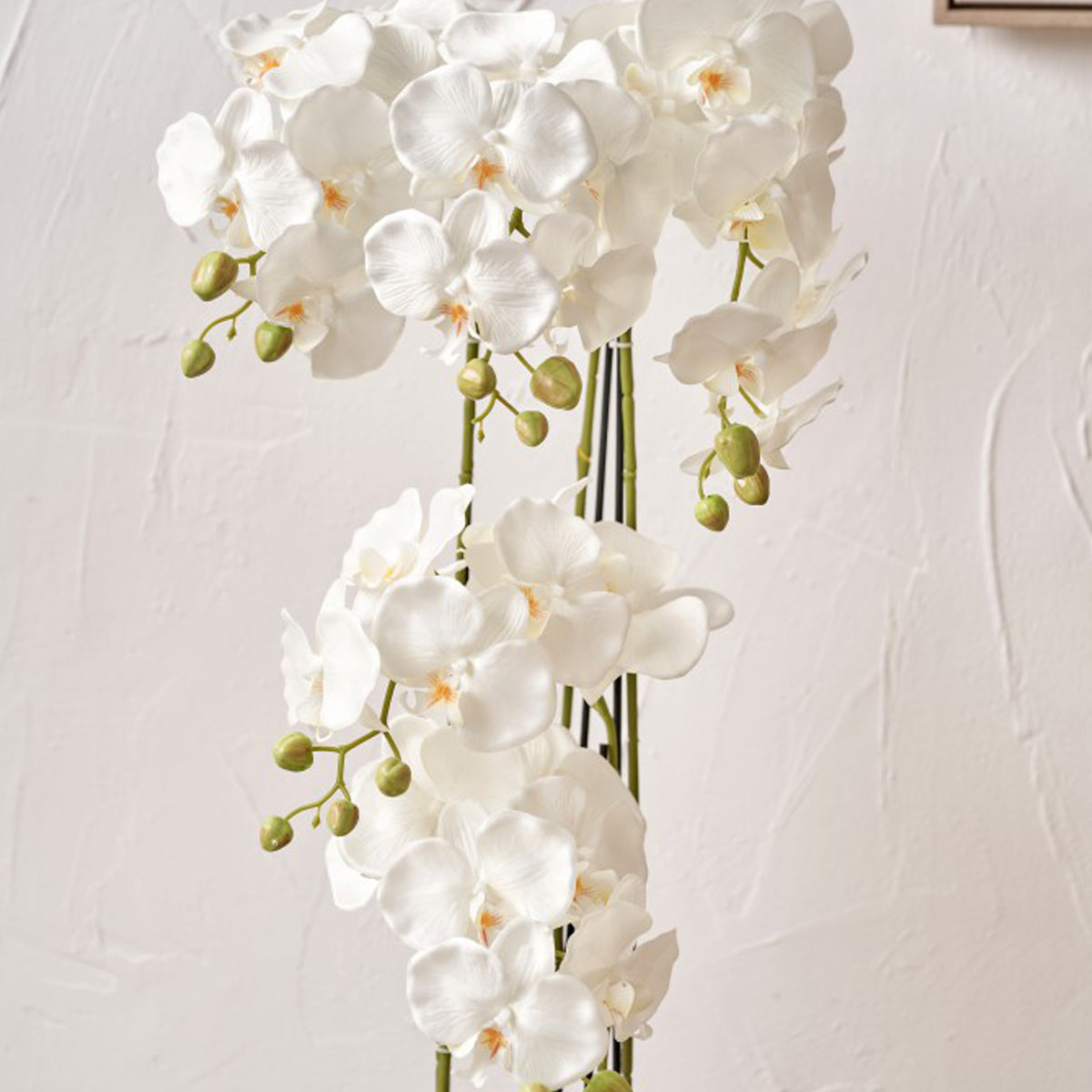 White Orchid in Pot Tall from Roseland Furniture