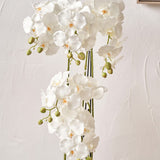 White Orchid in Pot Tall from Roseland Furniture
