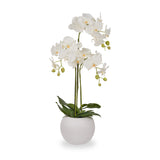 White Orchid in Pot Medium from Roseland Furniture