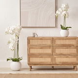 White Orchid in Pot Medium from Roseland Furniture
