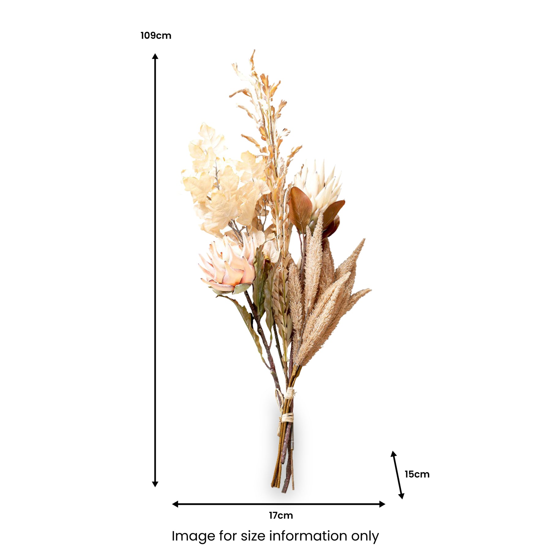 Natural Apricot Dried Flower Bunch from Roseland Furniture