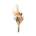 Natural Apricot Dried Flower Bunch from Roseland Furniture