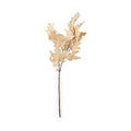 Natural Apricot Dried Flower Bunch from Roseland Furniture