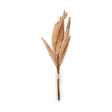 Natural Apricot Dried Flower Bunch from Roseland Furniture