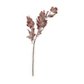 Mulberry Brown Dried Flower Bunch from Roseland Furniture