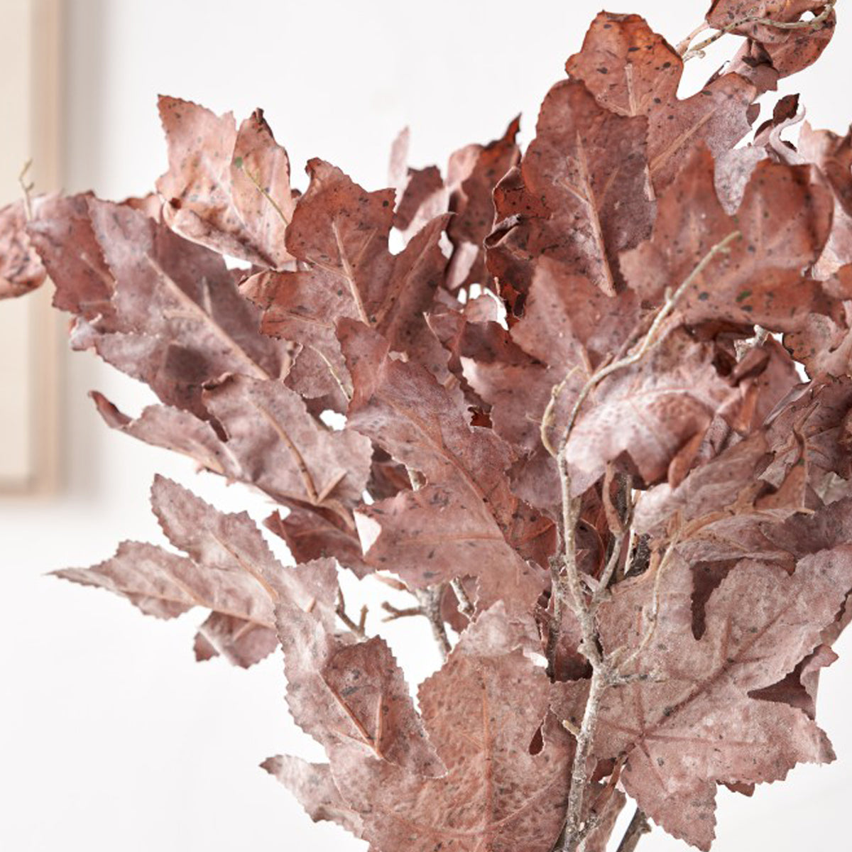Mulberry Brown Dried Flower Bunch from Roseland Furniture