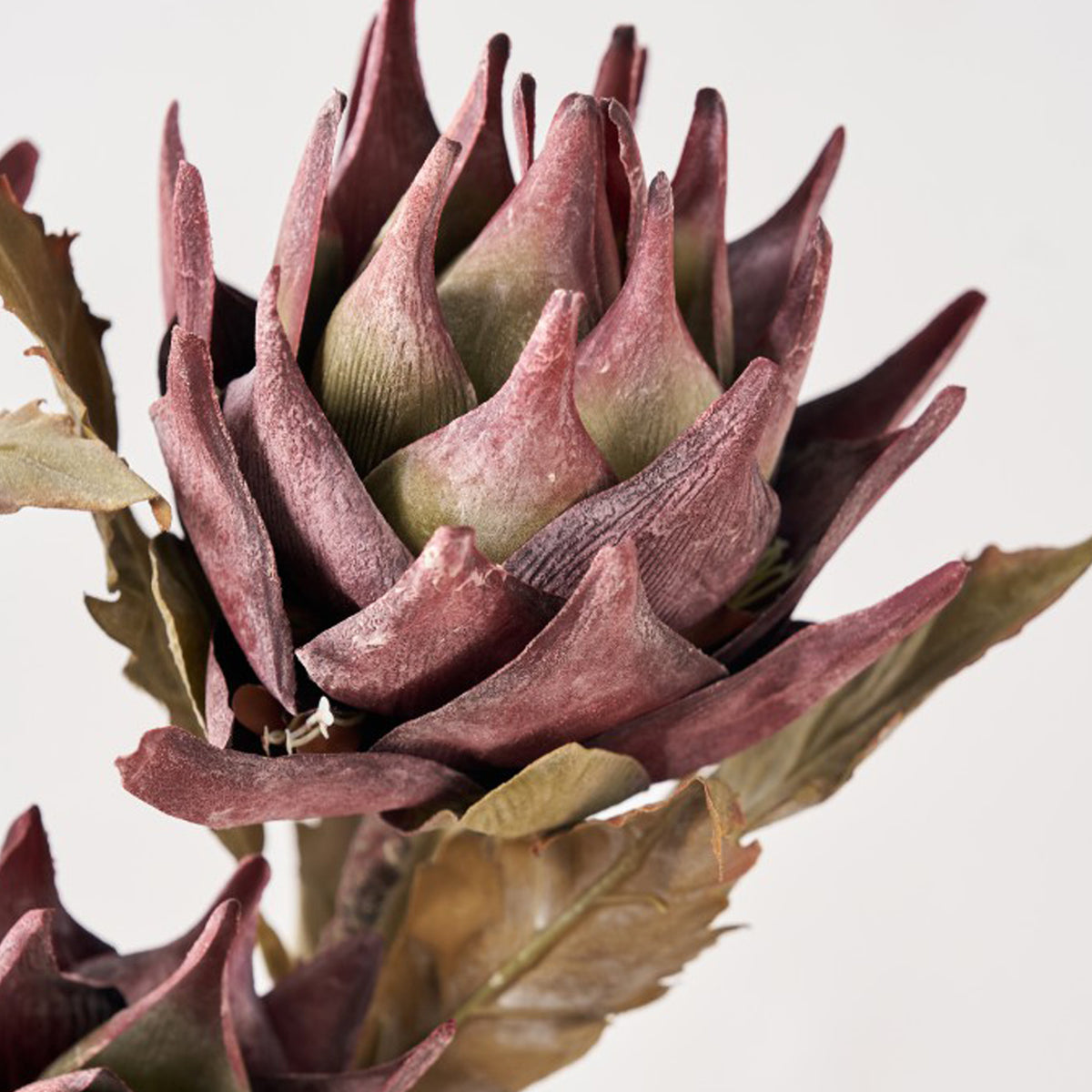 Mulberry Brown Dried Flower Bunch from Roseland Furniture