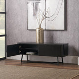 Ukiah Black Ash 2 Door Low Unit from Roseland Furniture