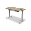 Gino Ash Smart Electric Height Adjustable Desk with Storage Drawer from Roseland Furniture