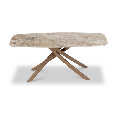 Alma Marble Coffee Table
