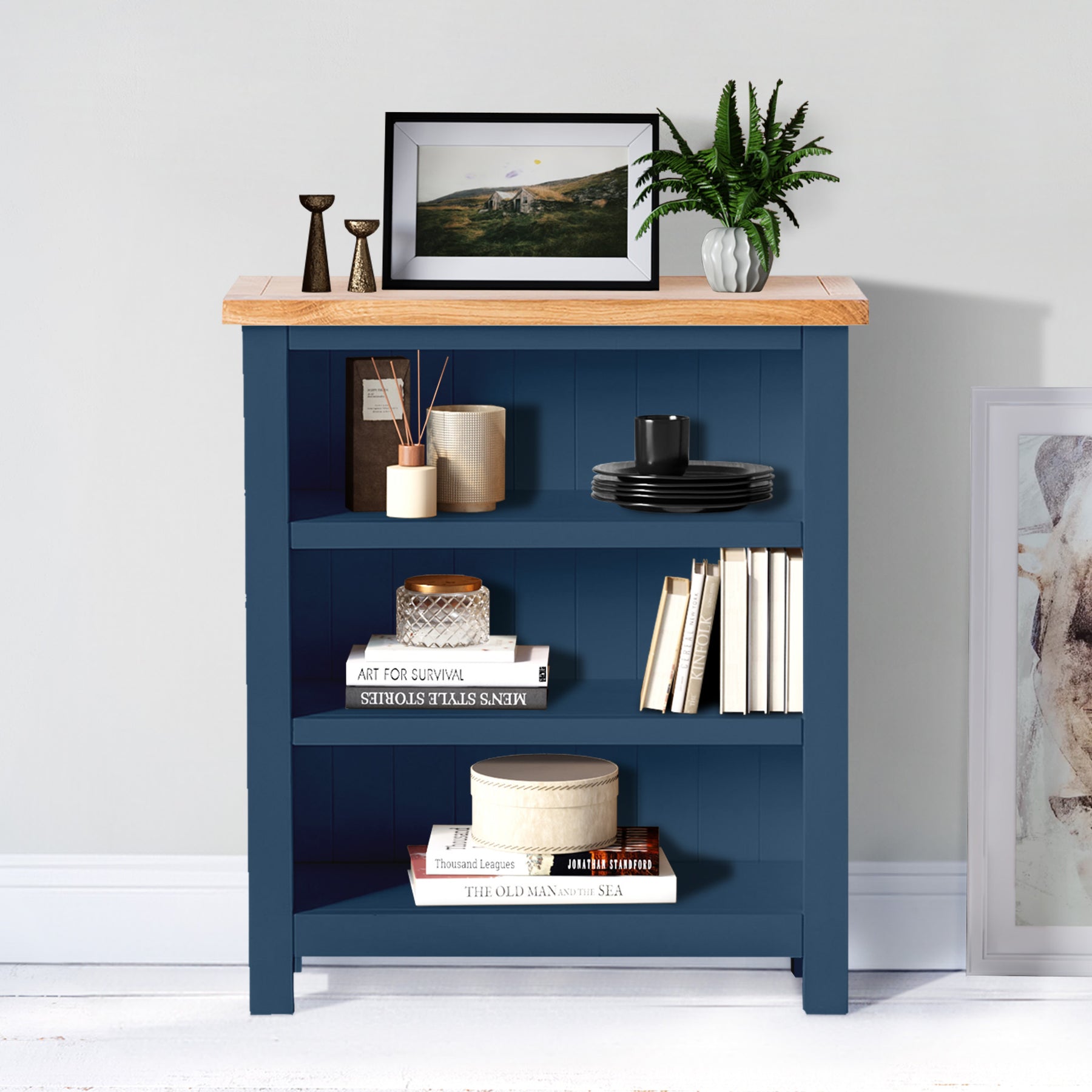 Farrow Blue Low Bookcase for living roome