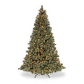 Glittery Bristle Pine Soft White LED 6ft Tree from Roseland