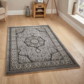 Holden Silver Oriental Stain Resistant Rug for living room