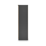 Jago-slatted-effect-2-door-wardrobe-black from Roseland Furniture