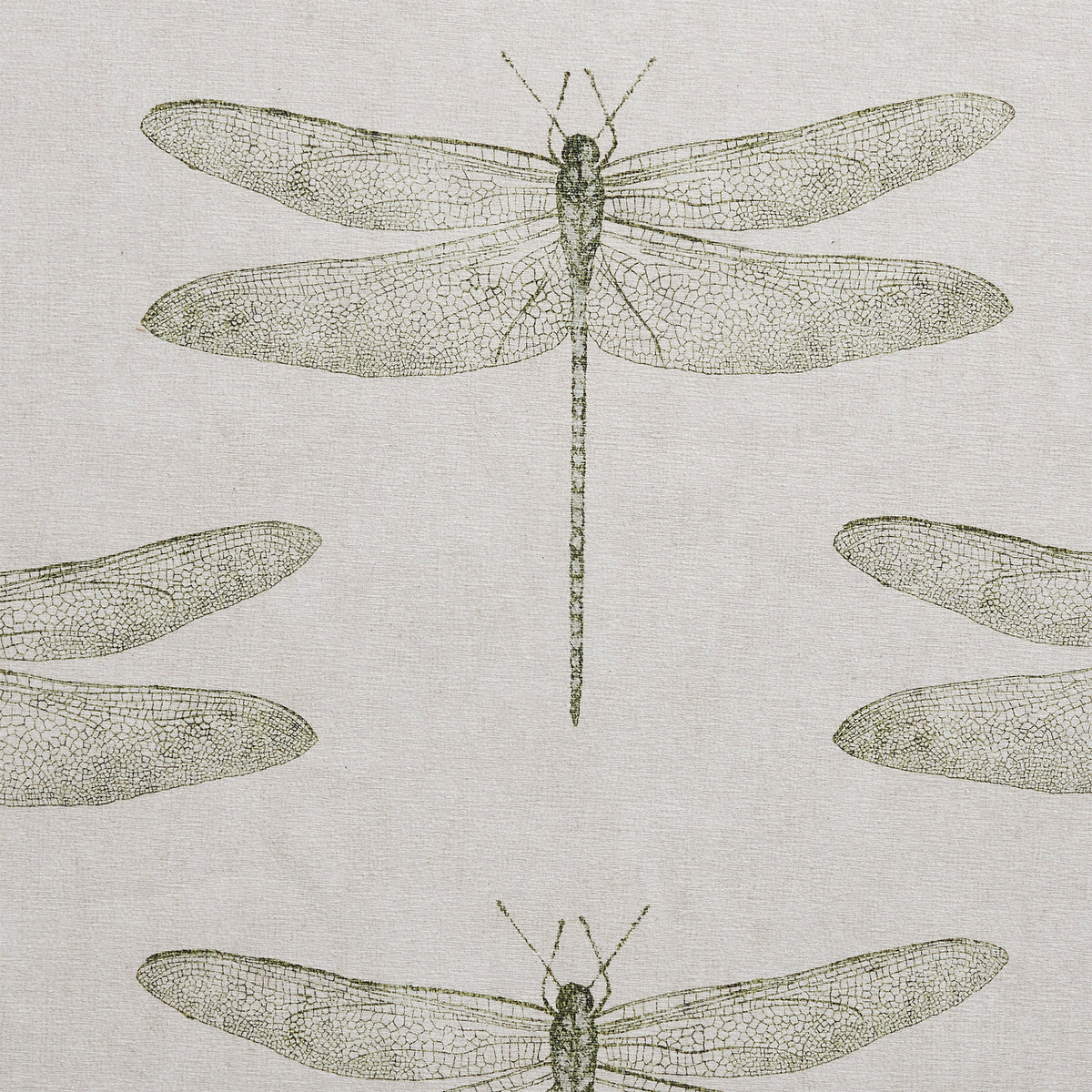 Harlequin Demoiselle Fern Rug from Roseland Furniture