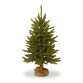 Kensington Fir Tree with Burlap Bag from Roseland