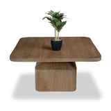 Nao Mango Wood Coffee Table Angle1 from Roseland Furniture