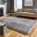 Newton Silver Deluxe Shaggy Rug for living room