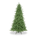 Buckingham Blue Spruce 6ft Tree from Roseland