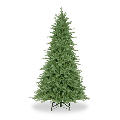 Buckingham Blue Spruce 6ft Tree