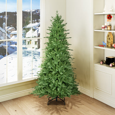 Buckingham Blue Spruce 6ft Tree