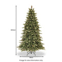 Copenhagen Blue Spruce 7.5ft Tree with Cones from Roseland Furniture