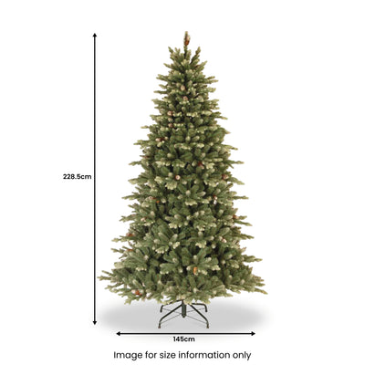 Copenhagen Blue Spruce 7.5ft Tree with Cones