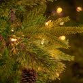 Colonial Fir Warm White LED 6ft Tree with Red Drum from Roseland