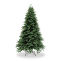 Riverdale Spruce 6.5ft or 7.5ft Christmas Tree from Roseland