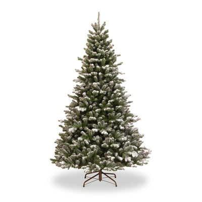 Snowy Sheffield Spruce 6.5ft Tree