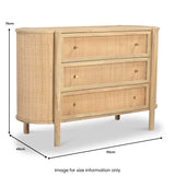 Indie Mango Wood 3 Drawer Chest Back1 from Roseland Furniture