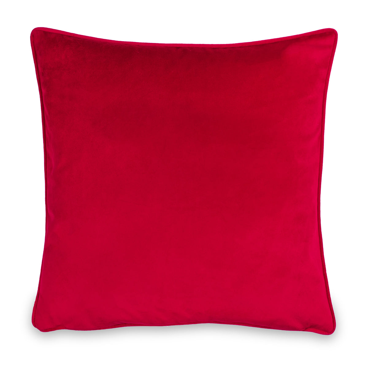 Purrfect Fabyuleous 43x43 Cushion by Roseland Furniture