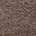 Roswell Beige Stain Resistant Shaggy Rug