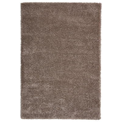 Roswell Stain Resistant Shaggy Rug