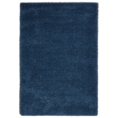 Roswell Stain Resistant Shaggy Rug