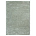 Roswell Pastel Green Stain Resistant Shaggy Rug from Roseland Furniture