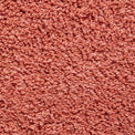 Roswell Pastel Peach Stain Resistant Shaggy Rug 