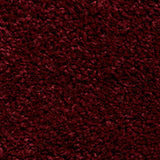 Roswell Ruby Red Stain Resistant Shaggy Rug 